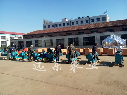 高粘度轉子泵 高粘度轉子泵