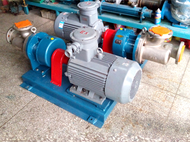 WKse不銹鋼雙螺桿泵 WKse不銹鋼雙螺桿泵