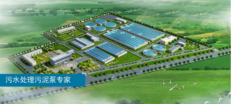 污泥輸送泵 污泥輸送泵