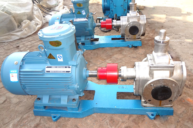 不銹鋼齒輪泵 不銹鋼齒輪泵