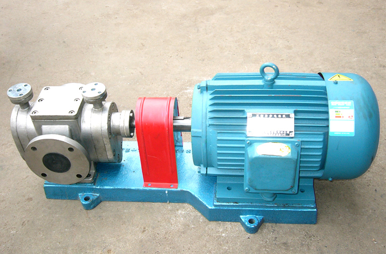 不銹鋼保溫齒輪泵 不銹鋼保溫齒輪泵