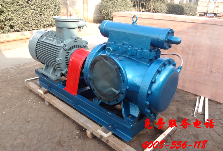 3GS100×2W21 3GS100×2W21