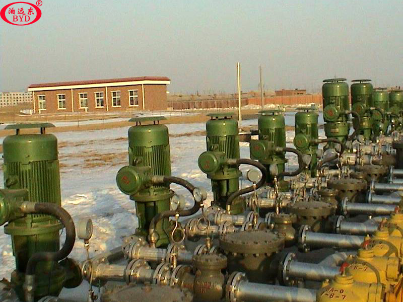 汽油柴油發車泵 汽油柴油發車泵