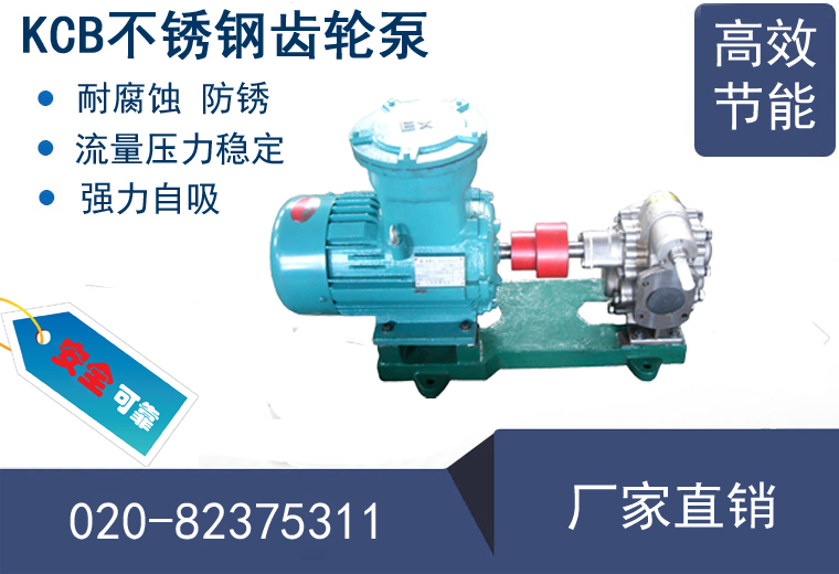 KCB200不銹鋼齒輪泵 KCB200不銹鋼齒輪泵