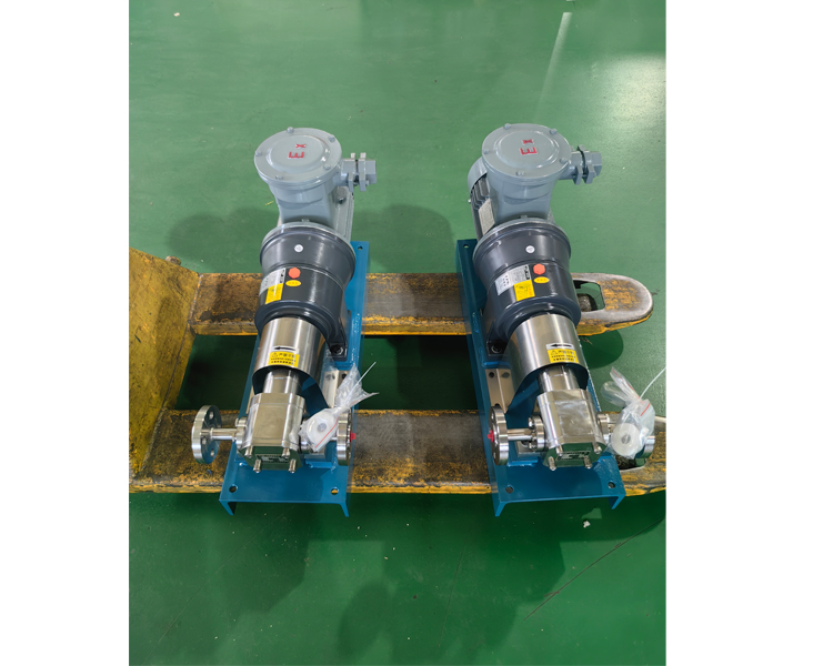 不銹鋼齒輪泵 不銹鋼齒輪泵