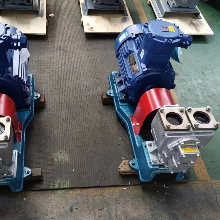 不銹鋼齒輪泵 不銹鋼齒輪泵