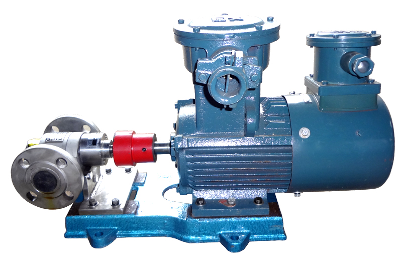 變頻調速不銹鋼齒輪泵 變頻調速不銹鋼齒輪泵