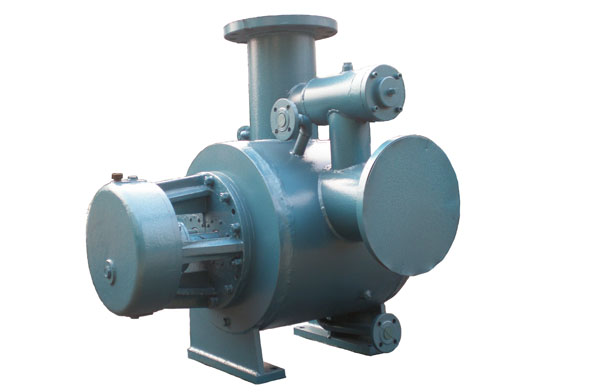 W保溫雙螺桿泵 W保溫雙螺桿泵